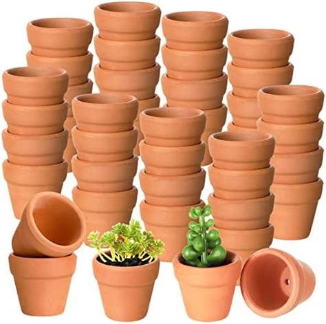 Amazon.com: Fcacti Mini Terracotta Pots with Drainage Holes-1.2 inches Succulent Cactus Nursery ...