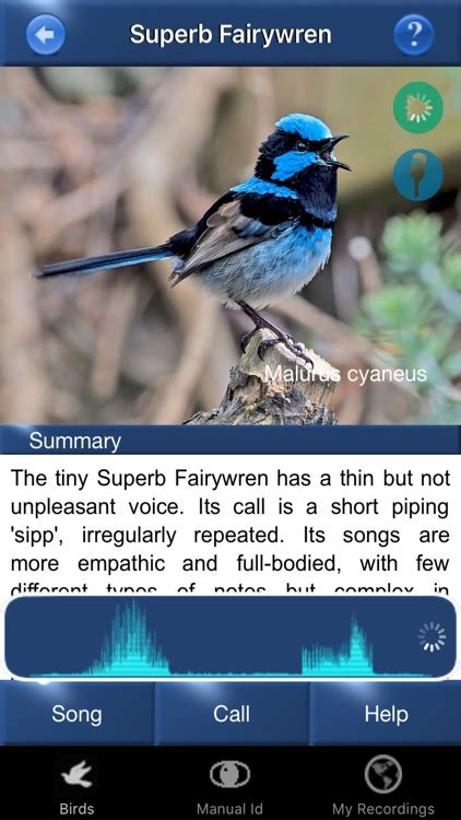 The Best Bird Identification Apps