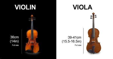 20/4 - Violin vs Viola: What’s The Difference? - Caswell's Strings