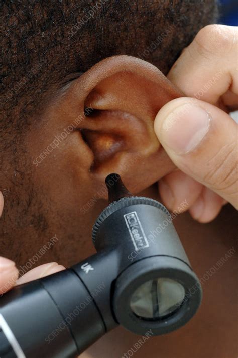 Ear examination - Stock Image - C054/7673 - Science Photo Library