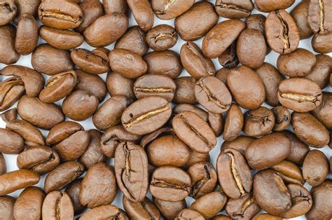 Brown Coffee Beans · Free Stock Photo