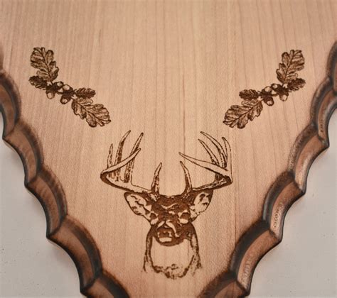 Deer Shoulder Mount Plaque | ubicaciondepersonas.cdmx.gob.mx