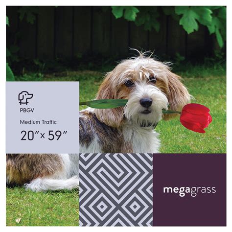 MegaGrass PBGV 20 x 59 in Artificial Grass for Medium Pet Dog Potty Indoor/Outoor Area Rug ...