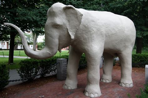 Mighty Jumbo | The Tufts' mascot, Jumbo the elephant. Former… | Flickr ...