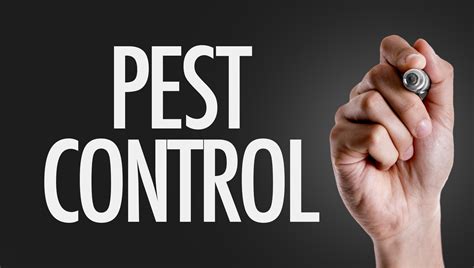 10 Tips for Pest Prevention in Your Home - iStoryTime