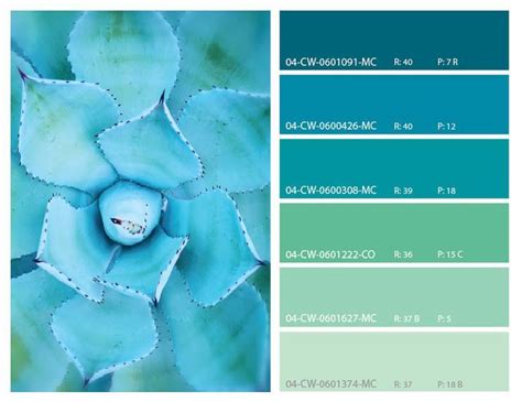 Colors and Designs | Turquoise color palette, Turquoise color scheme ...