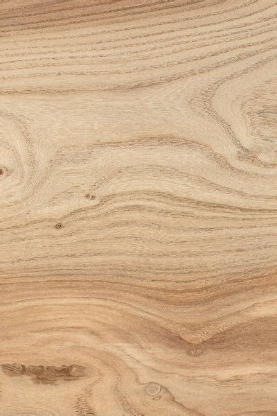 Elm Timber | Buy English Hardwood Boards in London