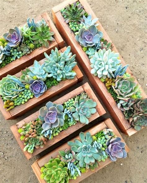 31 Beautiful Outdoor Succulent Planter Ideas - MAGZHOUSE