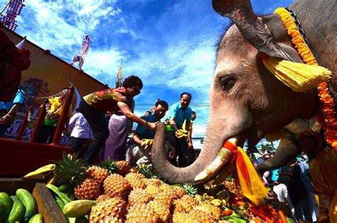 Thailand’s renowned “Surin Elephant Round-up” set for weekend of 21-22 ...