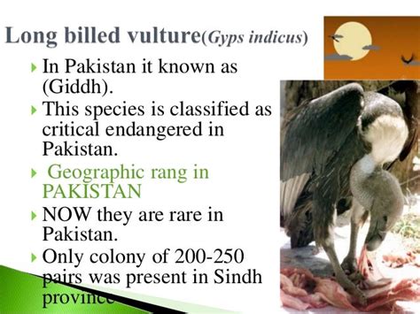 Top 10 endangered species of pakistan