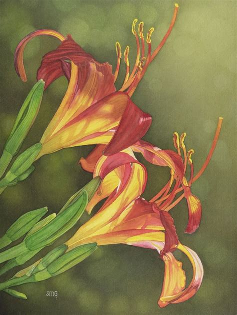 Daylily watercolor painting by Shirley Greenville | Watercolor ...