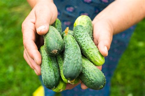 Get Some Cucumbers! | Thrive | Fruits and Veggies Month