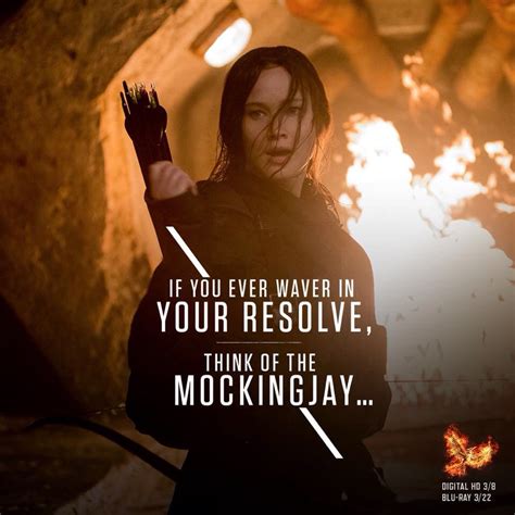 Think of the mockingjay | Hunger games, Hunger games merchandise, Hunger games quotes