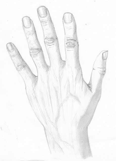 Left hand Drawing by Sanet Van Wyk | Artmajeur