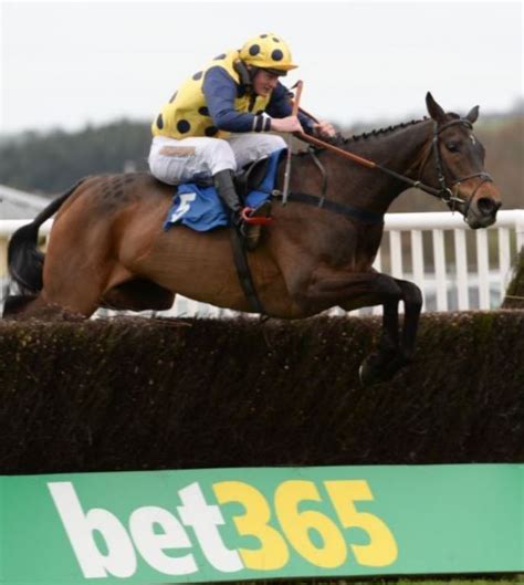 Newton Abbot race report Monday 18 April 2016 | Newton Abbot Racecourse