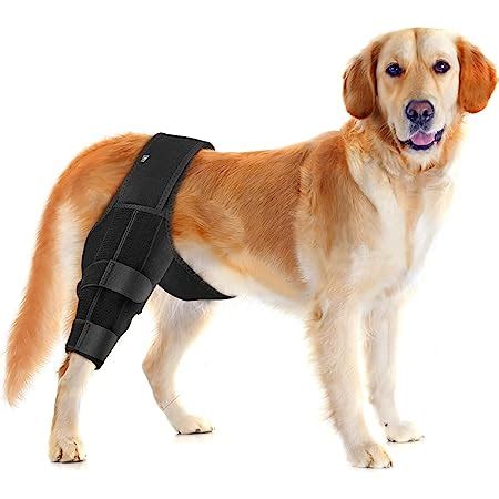 Amazon.com : YiLiiod Dog Knee Brace for Support with Cruciate Ligament ...