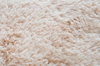 Sheep wool background | Free stock photo - 327799