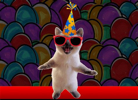 Funny Cat Colorful Thank You. Free Birthday Thank You eCards | 123 Greetings