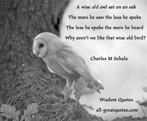 The wise old owl. | Wisdom quotes, Wise quotes, The wise man's fear