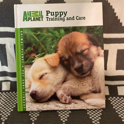 Puppy Training and Care