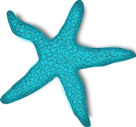 Sea Stars Clip Art - Png Download - Full Size Clipart (#1635715) - PinClipart