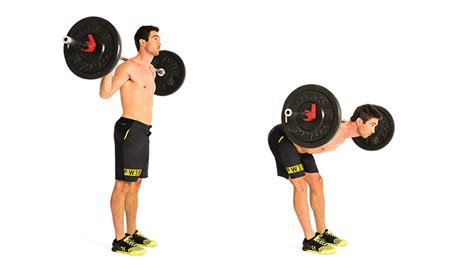 3 Essential Exercises For A Stronger Lower Back SpotMeBro.com