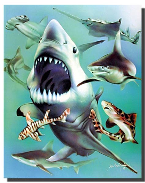 Sharks Poster | Animal Posters | Aquatic Posters