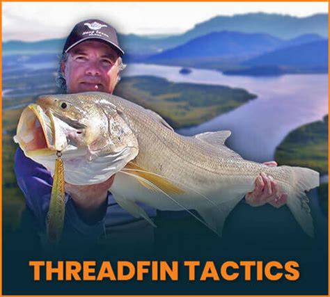 Learn to catch Threadfin Salmon | Threadfin Tactics online course