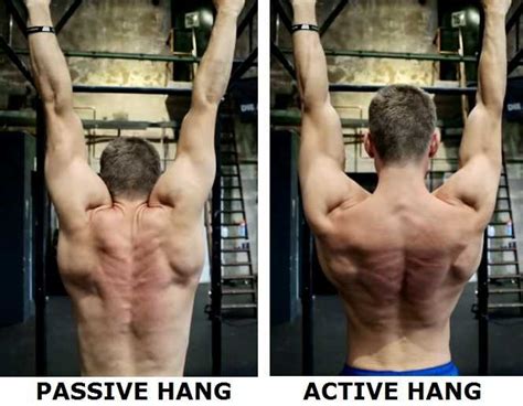 passive vs. active hang pull ups • Bodybuilding Wizard