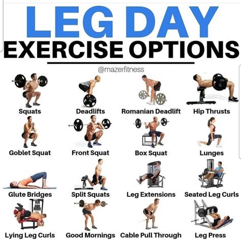 Leg Workouts For Men, Leg And Glute Workout, Body Workout Plan, Gym Workout Tips, Lower Body ...
