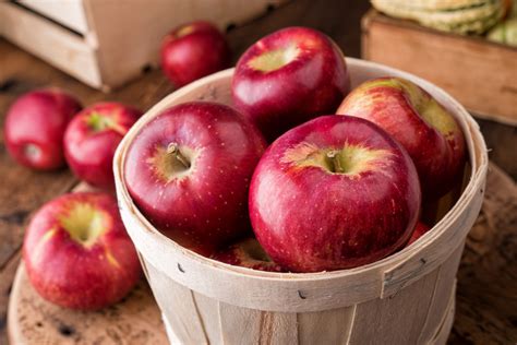 Apple Picking Near Me: Best Orchards in Every State - Parade