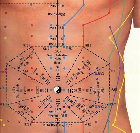 Abdominal Acupuncture chart | Accupuncture, Acupuncture, Acupuncture ...