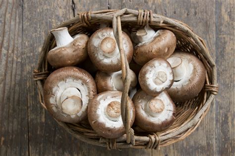 9 Edible Mushroom Varieties