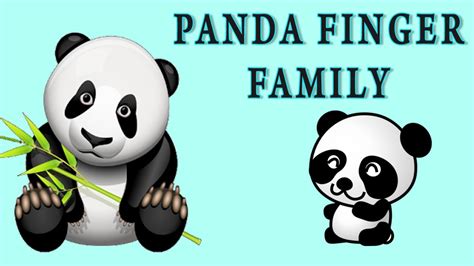 Panda Finger Family | Animal Finger Family - YouTube