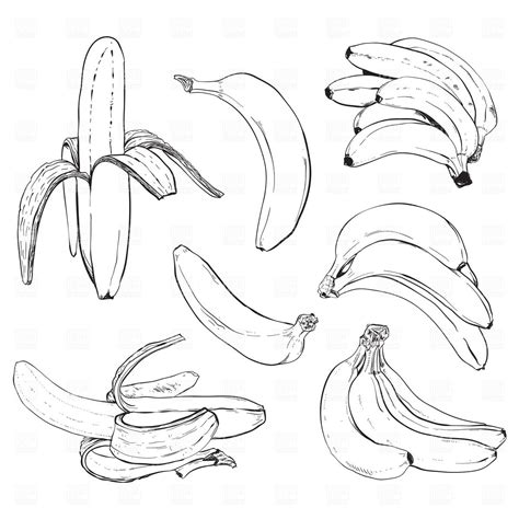 Free Banana Apple Tree Clipart | School Clipart | Illustration art kids, Banana sketch, Vector ...