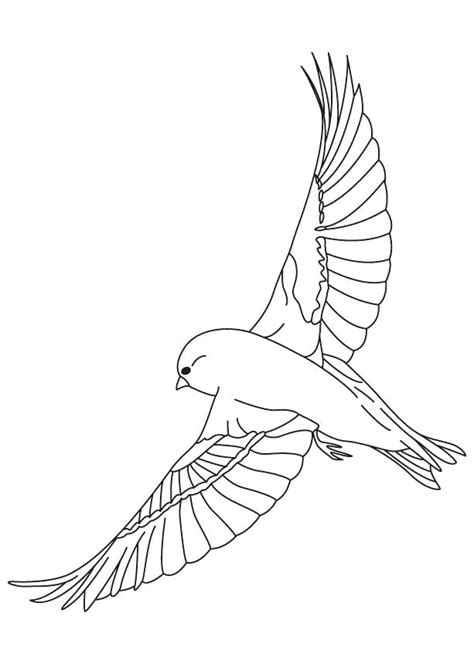 Blue Bird Flying Drawing at GetDrawings | Free download