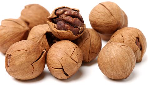 How to Shell Hickory Nuts – Mother Earth News