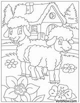 Free SHEEP Coloring Pages For Download Printable PDF sketch template