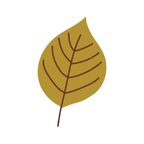 Premium Vector | Autumn leaves foliage leaf silhouette forest vector illustration