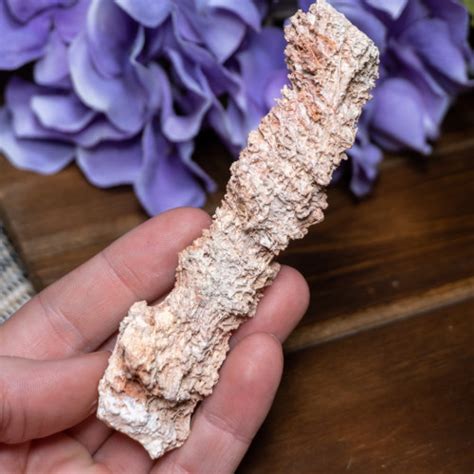 Fulgurite #1 - The Crystal Council