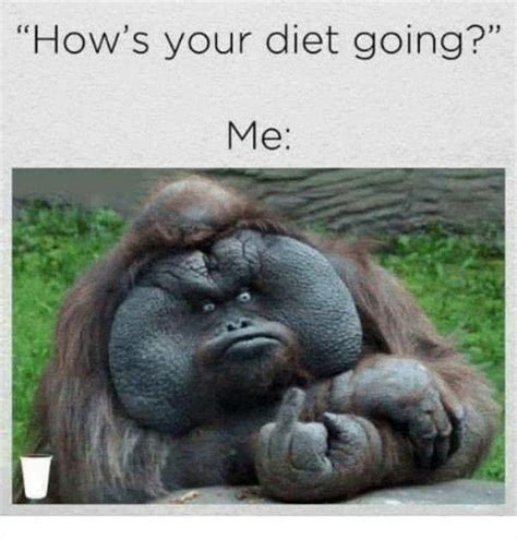 hows your diet going ... 2 #Pictures | Funny diet memes, Work humor ...