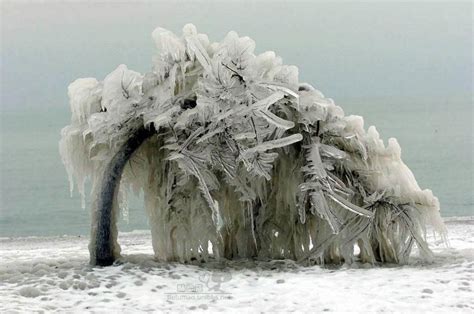 The Beauty Of Ice Storms | Ice storm, Amazing nature, Winter scenes