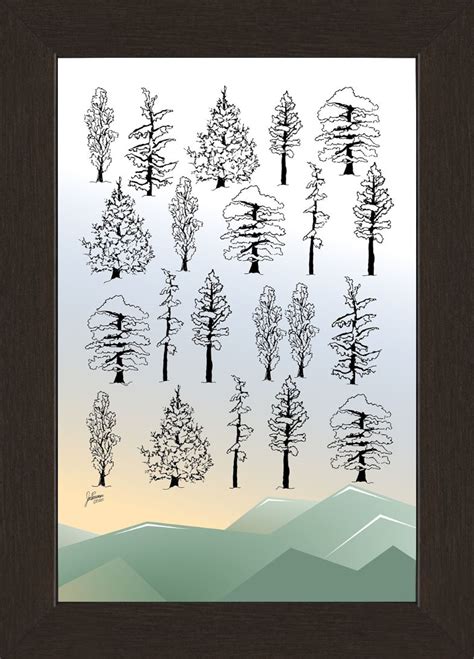 Rocky Mountain Trees Drawing – Print on Espresso Walnut Frame – 12″ x ...