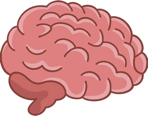 Brain Drawings Clip Art