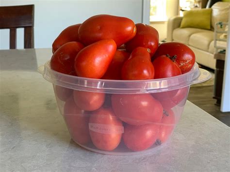 Canning Tomatoes for Beginners - Quick and Easy! - The DIY Handy Mom