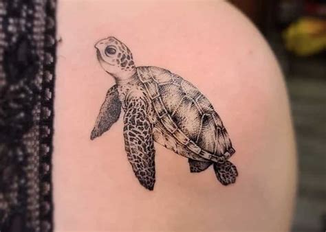 Discover more than 71 shellback turtle tattoo super hot - in.eteachers