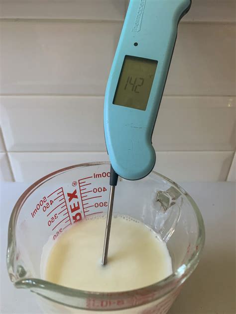 Using a Digital Quick-Read Thermometer To Make Fabulous Bread