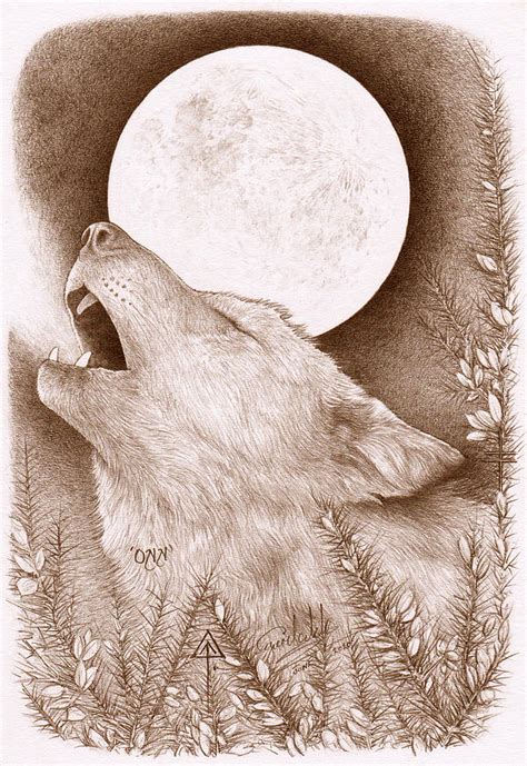 Wolf Howling At Full Moon Drawing