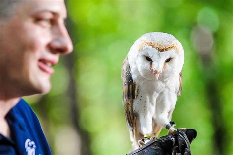 Carolina Raptor Center at Quest - Visit Mooresville