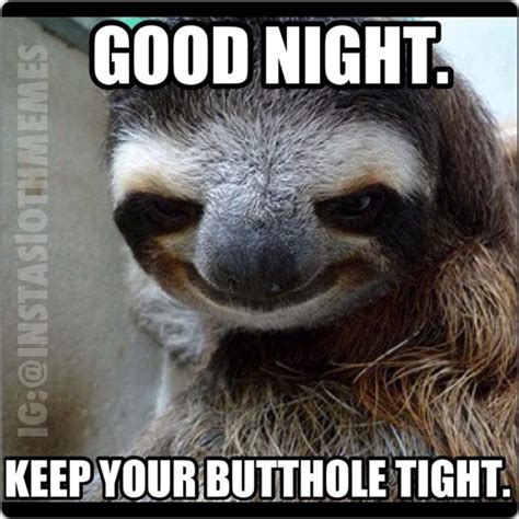 sloth nighty night | Sloths | Know Your Meme